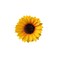 Yellow Sunflower Hair Clips 2-Pack   Yellow Flower Hair Barrettes   Beach Vacation Accessories - Sunflower Hairpins，Clips and Barrettes