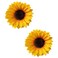 Yellow Sunflower Hair Clips 2-Pack   Yellow Flower Hair Barrettes   Beach Vacation Accessories - Sunflower Hairpins，Clips and Barrettes