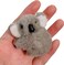 Grey Plush Koala Hair Clips,Cute Stuffed Hair Claw Bangs Clip Ponytail Decor Cartoon Hairpin Mini Hair Jaw Barrettes for Girls Women Headwear Clips and Barrettes Hair Accessories