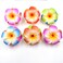10 Pcs Colorful Hawaii Plumeria Flower Clips Hawaiian Flower Hair Barrettes Beach Party Hair Clips Artificial Tropical Flower Hairpins for Wedding Hair Clips Personal Care