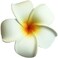 4 Pcs 7cm White and Pink Hawaiian Frangipani Plumeria Foam Head Flower Party Beach Hair Clips and Accessories