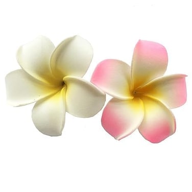 2 Pcs 7Cm White and Pink Hawaiian Frangipani Plumeria Clips and Barrettes Foam Head Flower Party Beach Hair Clip Hair Clips Hair Accessories