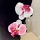 Pink Orchid Flower Hair Clip,Flower Hair Clip Cute Pink Orchid Side Barrettes Elegant Suitable for Wavy, Curly, Straight Hair, Flower Hair Clip Sweet Hair Clip Clips and Barrettes Hair Accessories