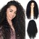 SAPPHIREWIGS Curly Lace Front Wigs for Black Women Long Black Wig Glueless Synthetic Loose Curly Wig Pre Plucked Hairline with Baby Hair Daily Party Use 26 inch