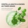 Color Correcting CC Cream,Hydrating CC Cream Foundation with Centella Asiatica Multi-Purpose Pre-makeup Primer Moisturizing Facial Concealer Sunscreen Full-Coverage CC Cream with SPF 25 (02)