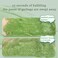 Centella Asiatica Bubble Mask Moisturizing Deep Cleansing Smear Skincare Mask Remove Blackheads Individual Package 10 Seconds to Foam（4g&times;12Pcs）