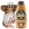 Kiss My Coconut - Tanning Bed Lotion, Skin Softening Golden Tan Intensifier with Coconut Milk &amp; Cocoa Butter, No Bronzer, Unisex Hydrating Indoor/Outdoor Accelerator by Elegant Sun