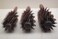 3-in-1 Premium Brush Set for Women &amp; Men: Natural Boar Bristle Round Hair Brush, Nylon Pin Styling Brush, Wooden Comb for Drying, Curling, and Styling Hair