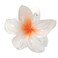 Flower Hair Claw Clips - Hawaiian Flower Hair Claw Clips for Women   Plumeria Claw Clips for Thin Hair   Flower Strong Hold jaw clip   Hair Claw Clips for Girls  Preppy Flower Hair Clip (White)