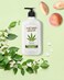 Hemp Heaven Moisturizing Body Lotion &ndash; Peach &ndash; Jasmine Scent made with Natural Hemp Seed Oil For Men &amp; Women,18 Oz