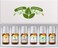 Good Essential Fragrance Oils Set of 6 Scented Oils from Amber Oil, Coffee Oil, Leather Oil, Fresh Cotton Oil, Fresh Cut Grass Oil, Bamboo Oil: Aromatherapy, Perfume, Soaps, Candles, Slime, Lotions!