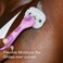 Flamingo Moisture Plus Women's Razor Set - Razor Handle, 4 Razor Blade Refills, Shower Holder - Fig