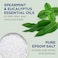 Dr Teal's Foaming Bath with Pure Epsom Salt, Relax &amp; Relief with Eucalyptus &amp; Spearmint, 34 fl oz (Pack of 2)