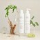 INNERSENSE Organic Beauty - Hair Renew Soothing Conditioner   Non-Toxic, Cruelty-Free, Clean Haircare (10 fl oz   295 mL)
