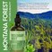Rosemary Mint Strengthening Shampoo 16 Fl Oz   Infused with rosemary and mint extracts, cooling essence of mint refreshingly cleanses hair and scalp