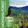 Rosemary Mint Strengthening Leave-In Conditioner - 16 fl oz   Natural Botanical Hair Care   Nourishing and Strengthening for All Hair Types   Sulfate-Free, Paraben-Free, and Non-GMO