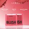 Lamel Blush Cheek Apricot Color Mini - Blendable Natural Blush Powder - Enhances &amp; Defines Shapes &amp; Features - Shading &amp; Contouring Powder Blush - 4 Universal Shades - № 407 (Apricot) - 3.8g/0.13 oz
