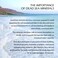 100% Pure Dead Sea Mineral Bath Salt Fragrance Free 6 Pack 2.5 oz Single Use Packets with Magnesium, Sulfur and 21 Essential Minerals. All Skin Types, Problem Skin. Natural, Therapeutic.