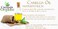 Dr Joe Lab Camellia Seed Oil 128 oz Pure Natural Cold Pressed Unrefined Extra Virgin Camellia Oil 1 Gallon - for Hair Skin Body Nails and Beard - Moisturizing, Soothing, Hydrating, &amp; Nourishing