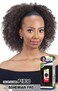 FreeTress Equal Synthetic Hair Drawstring Ponytail Bohemian Fro (T1B/30)
