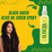 Black Queen Olive Oil Sheen Spray for Locs, Dreadlocks, Twists, Braids, Cornrows, 4C Hair - Moisturizing, Refreshing - 2 oz- Made in the USA (Pack of 1)