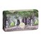 Nesti Dante Emozioni In Toscana Natural Soap - Enchanting Forest 250g/8.8oz