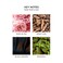 NEST New York Rose Noir &amp; Oud Liquid Hand Soap