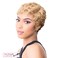 It's A Wig Pin Curl 202 (FM1B/30)