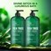 Botanic Hearth Tea Tree Body Wash - 16 fl oz - Helps Soothe Itchy, Dry Skin, Antifungal Body Wash with 100% Pure Tea Tree Oil - Sulfate Free, Paraben Free, for Men and Women Set of 2