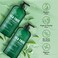 Botanic Hearth Tea Tree Body Wash - 16 fl oz - Helps Soothe Itchy, Dry Skin, Antifungal Body Wash with 100% Pure Tea Tree Oil - Sulfate Free, Paraben Free, for Men and Women Set of 2