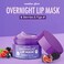 Berries &amp; Fig Lip Mask - Dermatologist Tested, Anti-Aging, Korean Skin Care, Deep Hydration, Overnight Lip Repair - Non- GMO, Vegan, Clean Beauty, 95% Natural, Cruelty-Free - 1 Pack
