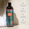 Aleavia Citrus Bliss Body Cleanse &ndash; Organic &amp; All-Natural Prebiotic Body Wash, Scented with Pure Essential Oils &ndash; Nourish Your Skin Microbiome &ndash; 16 Oz.
