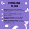 Molly's Suds Foaming Hand Soap - Made with Aloe and Coconut Oil   Moisturizing Hand Wash   Clean Ingredients, Infused with Essential Oils   Lavender - 8.25 Oz (Pack of 3)