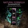 Natural FORMULA Ampoule Intense Hair Shampoo - Professional Ampoule Treatment with Natural Oils - Repair, Restore and Nourish Damaged, Dry, and Color-Treated Hair - Paraben and SLS Free - 13.5 Fl Oz