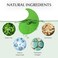 Under Eye Patches for Dark Circles: 30 Pairs Green Tea Eye Gels Pads - Reduce Eye Bags, Wrinkles &amp; Puffy - Skin Treatment Mask Retinol Collagen - Anti Aging &amp; Face Moisturizer For Women (Green Tea)