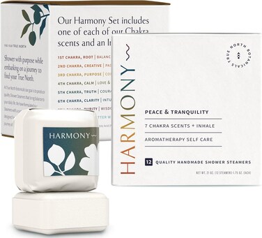 Shower Steamers for Women: Aromatherapy Bombs, Vapor Tablets, Individually Wrapped