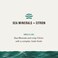 Every Man Jack Mens Sea Minerals + Citron Hand &amp; Body Lotion for All Skin Types - Dermatologist Tested &amp; Hypoallergenic - Nourish Skin with Lightweight Fast Absorbing Lotion - 13.5oz 2 Bottles
