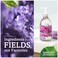 Seventh Generation Hand Wash, Lavender Flower and Mint, 12 Ounce (Pack of 6)