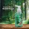 Scent Theory - Foaming Hand Soap - 11 Fl Oz - 4-Pack (Eucalyptus Woods)