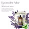 A LA MAISON French Liquid Hand Soap RefilL - Natural Hand Wash Made with Essential Oils - Biodegradable, Plant-Based, Vegan, Cruelty-Free (33.8 Fl Oz Pouch (2 Pack), Lavender Aloe)