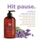 Soapbox Liquid Hand Soap, Lavender &amp; Marshmallow Root - Gentle, Moisturizing Hand Cleanser, Vegan &amp; Cruelty Free Hand Wash for Kitchen and Bathroom, 12oz Pump Bottles (Pack of 3)