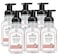 J.R. Watkins Foaming Hand Soap Pump with Dispenser, Moisturizing All Natural Hand Soap Foam, Alcohol-Free, Cruelty-Free, USA Made, Use as Kitchen or Bathroom Soap, Grapefruit, 9 fl oz, 6 Pack