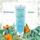 Bergman Kelly - Travel Size 2 in 1 Shampoo &amp; Conditioner - 0.5 fl oz, 200 PK, Tropical Waterfall - Delight Your Guests w/Invigorating &amp; Refreshing Shampoo Amenities - Small Hotel Toiletries in Bulk
