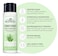 J.R. Watkins Daily Hydration Conditioner - Aloe &amp; Green Tea - 12 fl oz (Pack of 2)