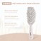 AIMIKE Bio-Friendly Vented Hair Brush with Flex Soft Bristles - No-Pull Detangler for Curly, Straight, Wet &amp; Dry Hair, Oatmeal, 1pcs