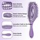 Curl Defining Brush, Vented Detangling Wet Hair Brush, Hollow Bouncing Comb for All Hair Types Wet &amp; Dry Hair for Women &amp; Men (Pink + Purple)
