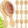 Nuogo 10 Pcs Inspirational Gift Mini Hair Brush for Women Men Aesthetic Wooden Hairbrush Paddle Comb Brush for Curly or Long Hair Thank You Gifts for Team Coworker Teacher Nurse (Classic)