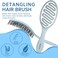 Detangling Brush, Dry and Wet Vented Detangler Hair Brush for Women and Men, Paddle Quick Drying Hairbrush for Wet/Dry/Curly/Thick/Long/Wavy/Damaged Hair, Blue