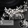 Crystal Bride Wedding Hair Comb Silver Bridal Headpieces Rhinestone Pearl Hair Pieces Bridesmaid Side Combs Hair Accessories for Women and Girls(Silver-3)