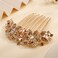 Aimimier Flower Crystal Hair Comb Decorative Rhinestone Gem Side Combs Long Teeth Hair Pins Updo Hair Accessories for Bride and Bridesmaid(Champagne)